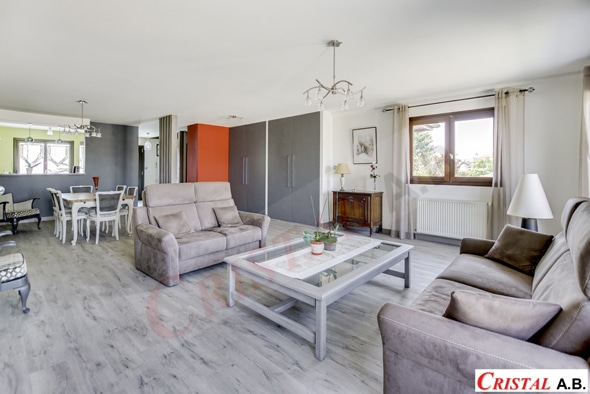 Salon moderne spacieux avec canapés gris, coin salle à manger et décoration élégante. Logo Cristal A.B.
